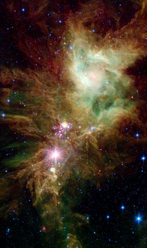 800px-NGC_2264